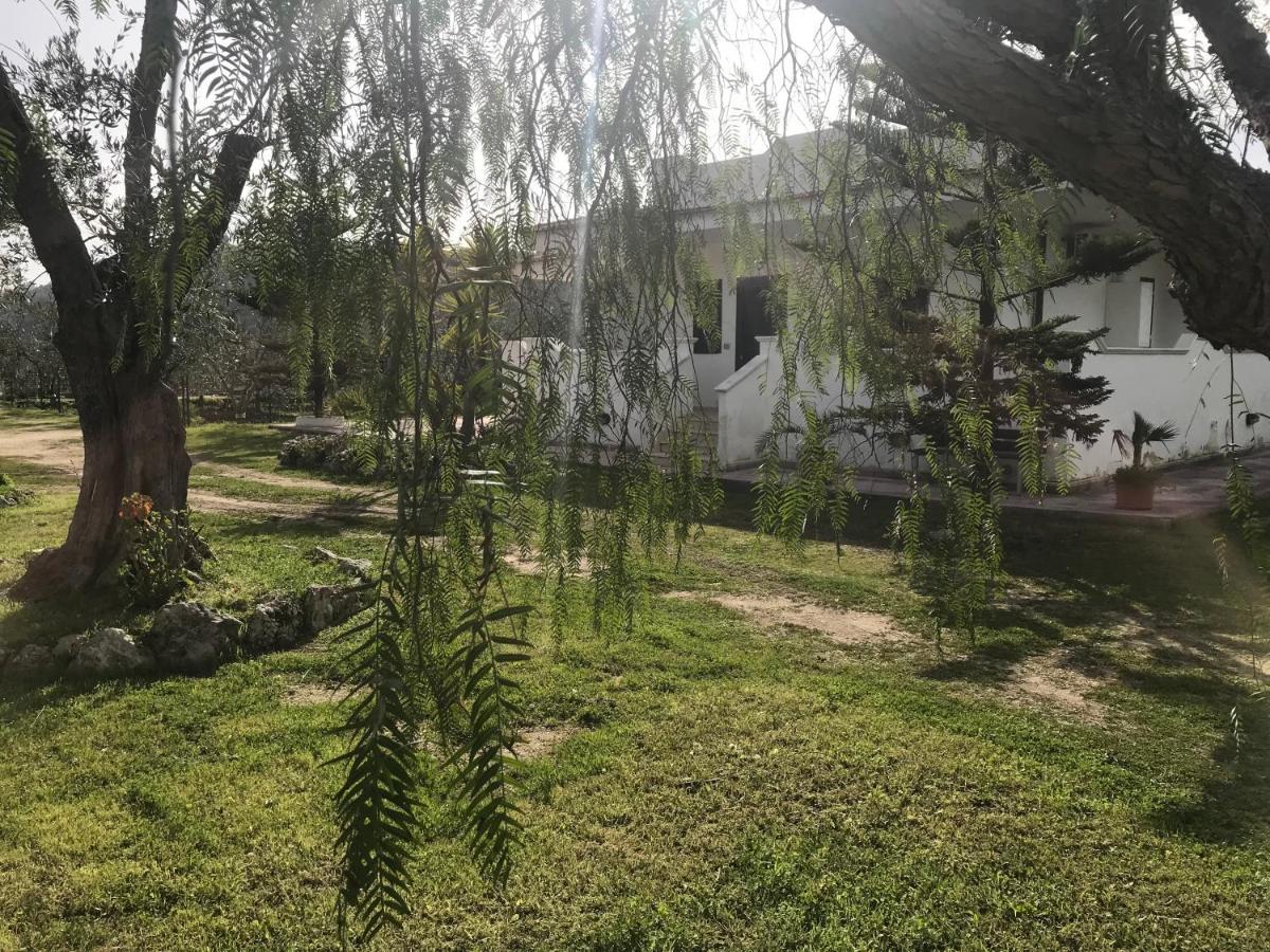 Villa Angela Case Vacanza Vieste Exteriör bild