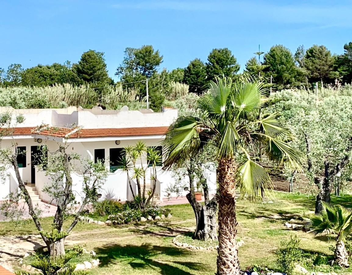 Villa Angela Case Vacanza Vieste Exteriör bild