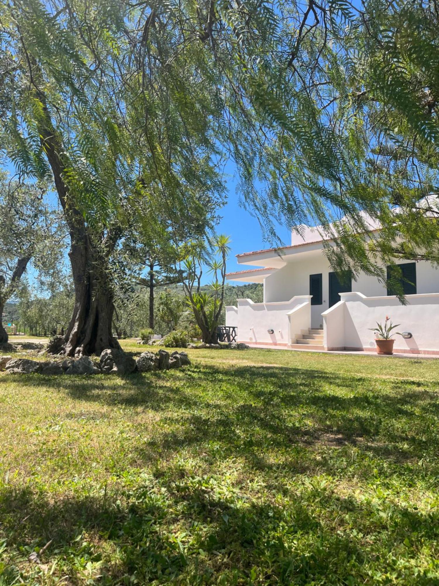 Villa Angela Case Vacanza Vieste Exteriör bild